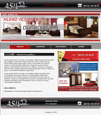 Mobilya web sitesi